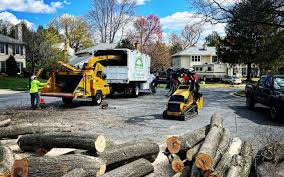 Lawn Drainage Solutions in Linganore, MD