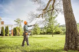 Best Lawn Drainage Solutions  in Linganore, MD