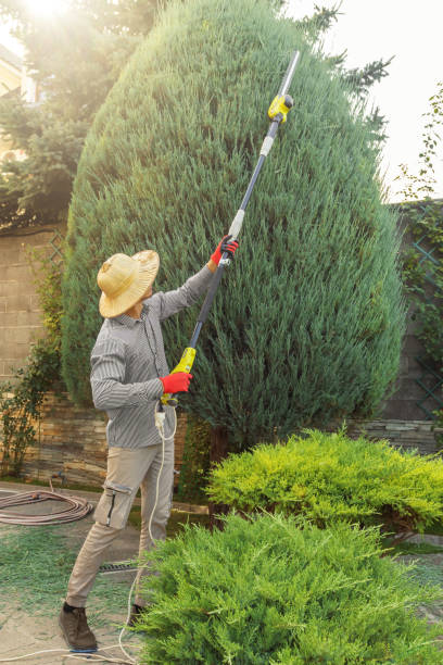 Best Tree Cabling and Bracing  in Linganore, MD
